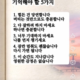 피드에 업로드 된 이미지