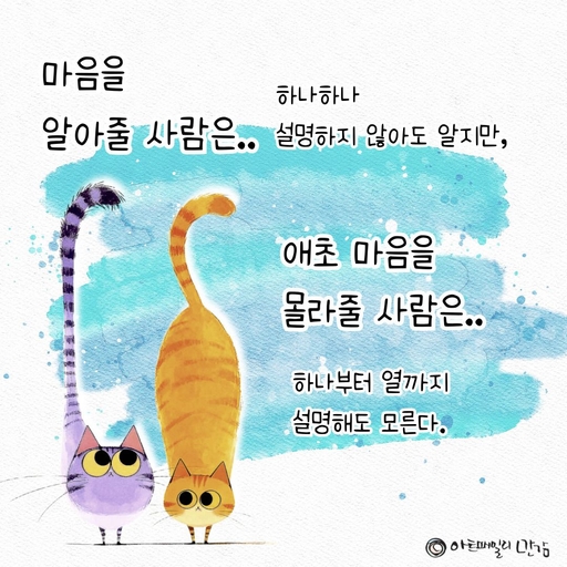피드 이미지