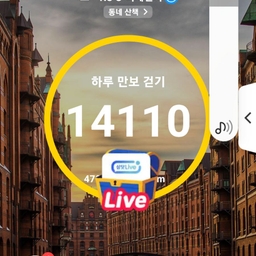 피드에 업로드 된 이미지