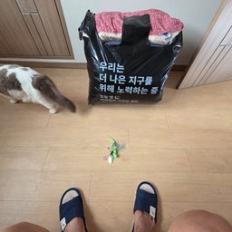 ํผ๋์ ์
๋ก๋ ๋ ์ด๋ฏธ์ง