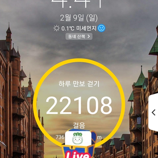 피드 이미지