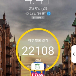 피드에 업로드 된 이미지