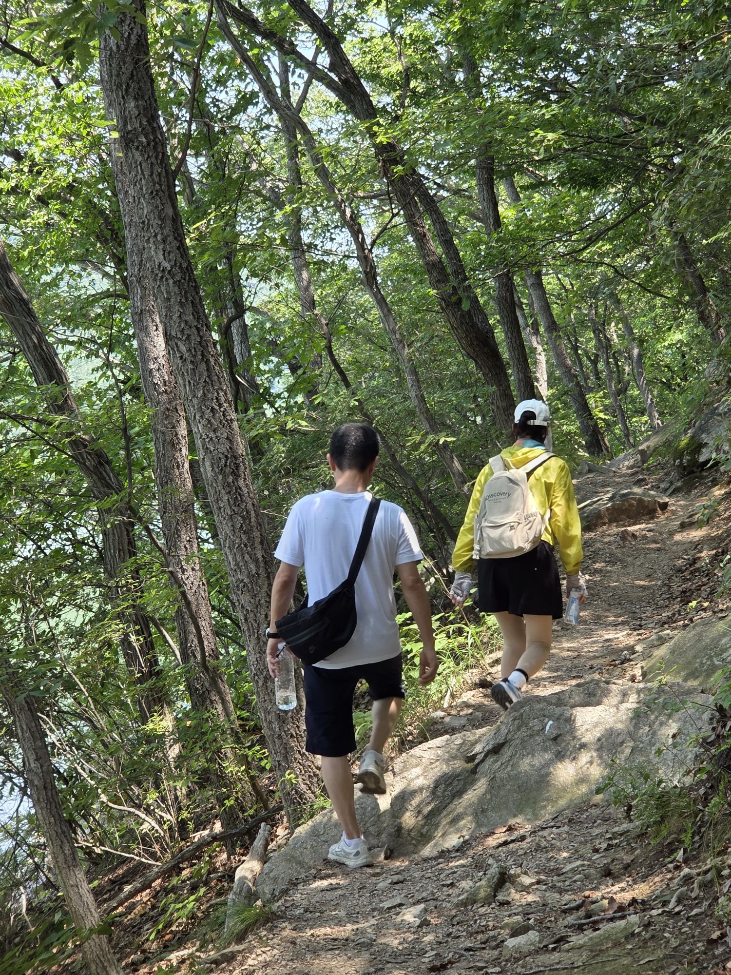 피드 이미지