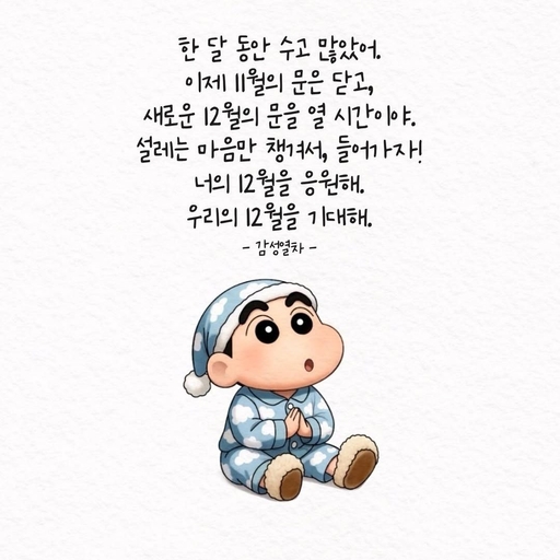 피드 이미지