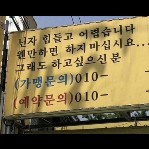 피드 이미지