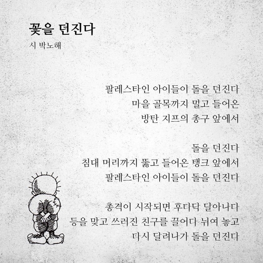 피드 이미지