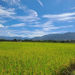 피드에 업로드 된 이미지