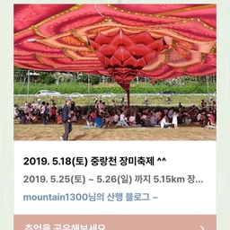 피드에 업로드 된 이미지