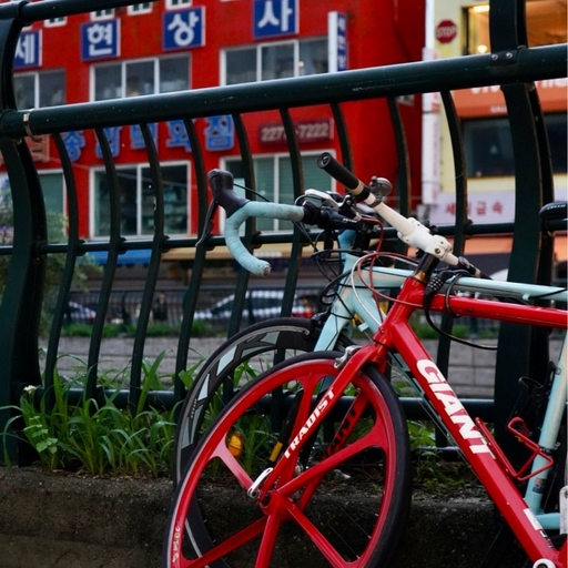 피드 이미지