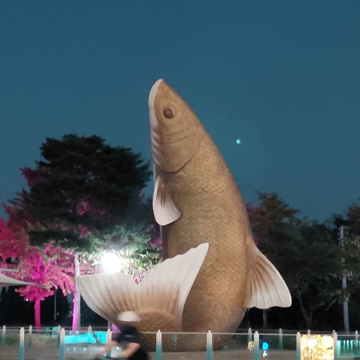 피드 이미지