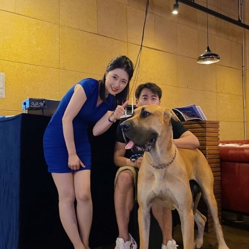 피드 이미지