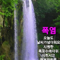 피드에 업로드 된 이미지