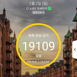 피드에 업로드 된 이미지