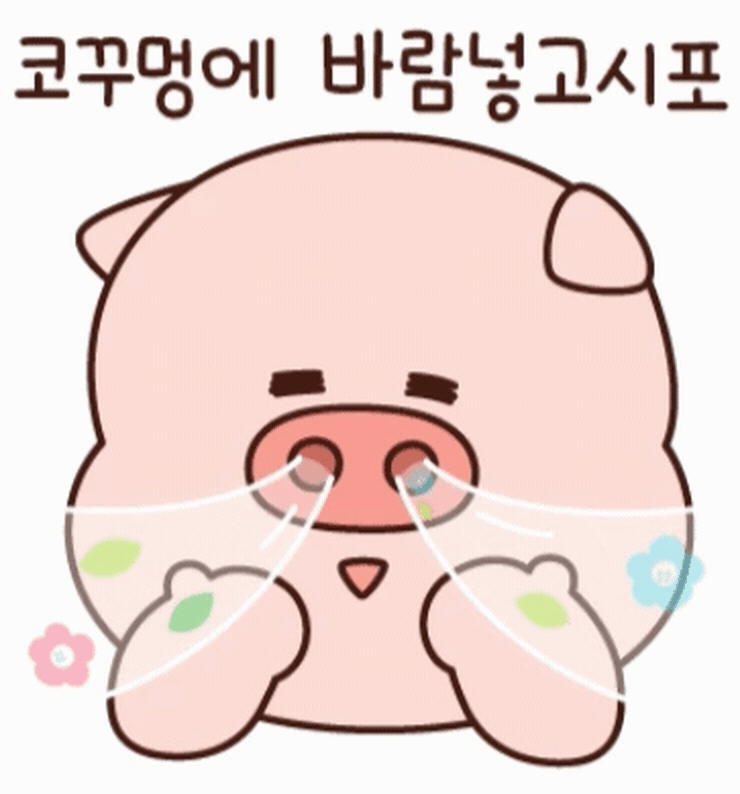 모임 이미지