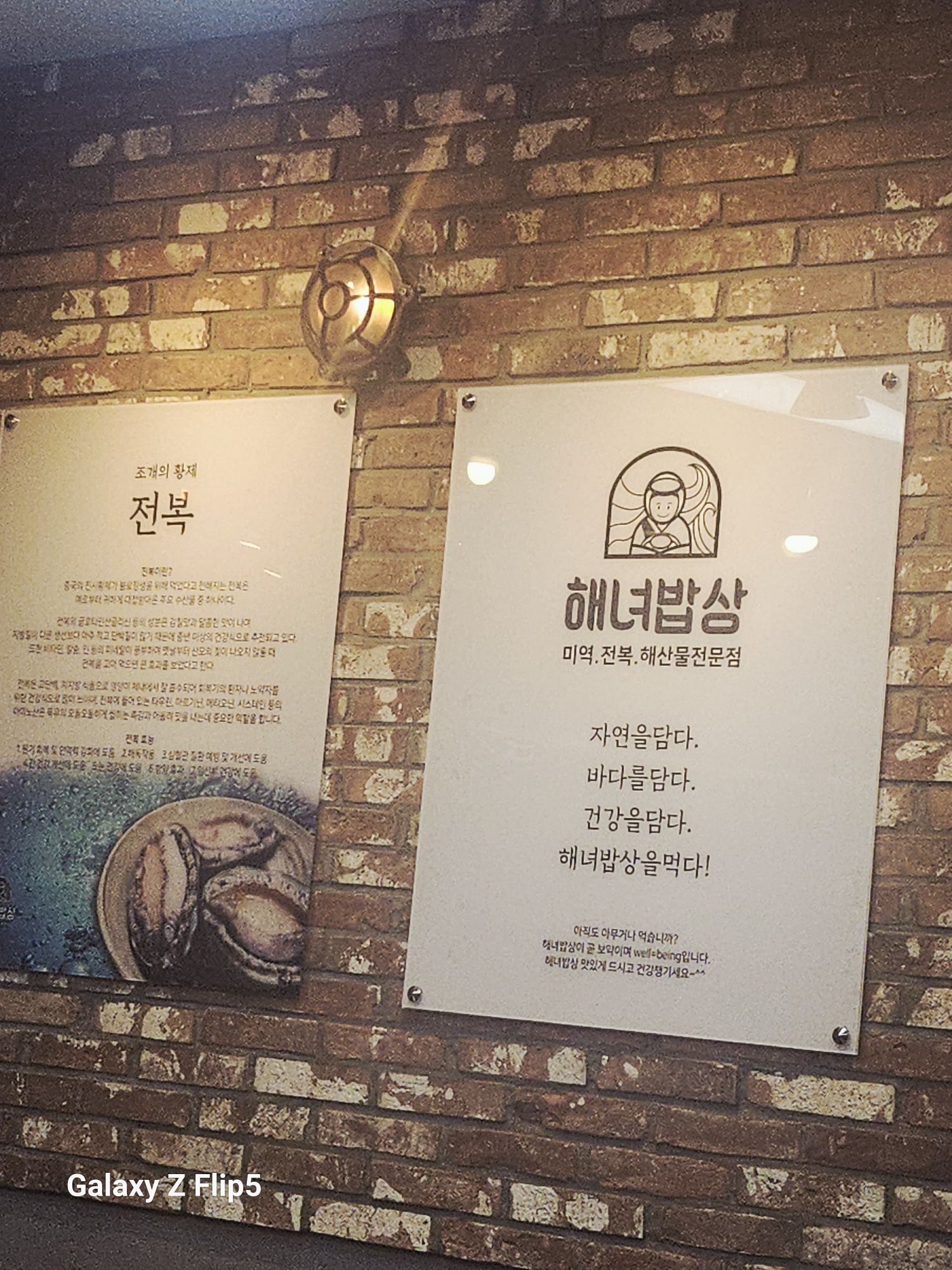 피드 이미지