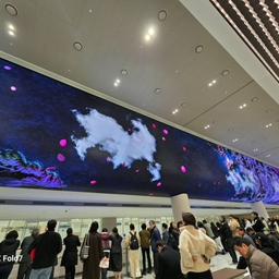 피드에 업로드 된 이미지