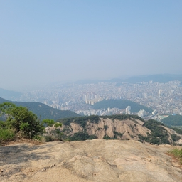 피드에 업로드 된 이미지