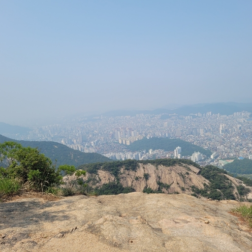 피드 이미지