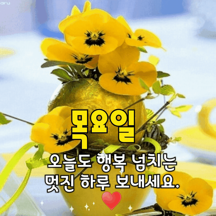 피드에 업로드 된 이미지