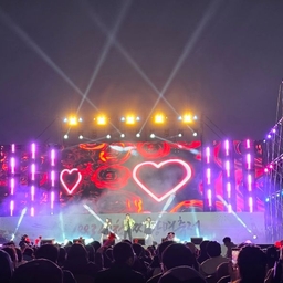 피드에 업로드 된 이미지