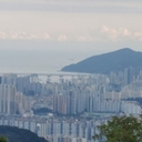 피드 작성자 프로필