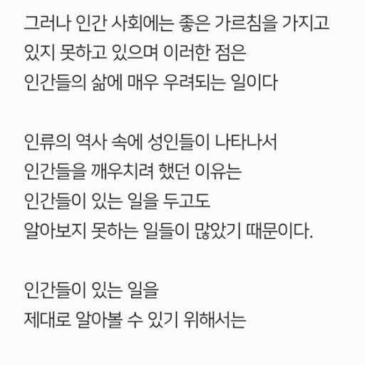 피드 이미지