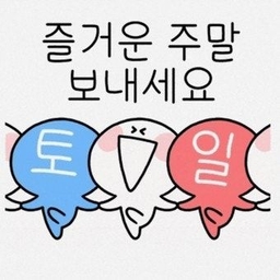 피드에 업로드 된 이미지