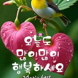 피드에 업로드 된 이미지