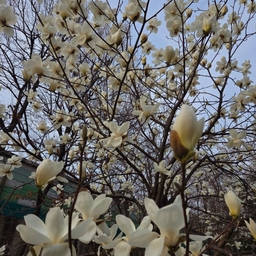 피드에 업로드 된 이미지