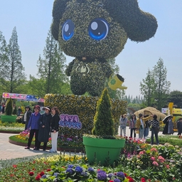 피드에 업로드 된 이미지