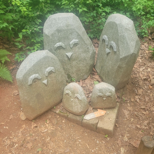피드 이미지
