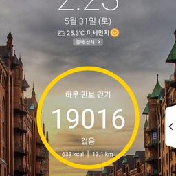 피드에 업로드 된 이미지