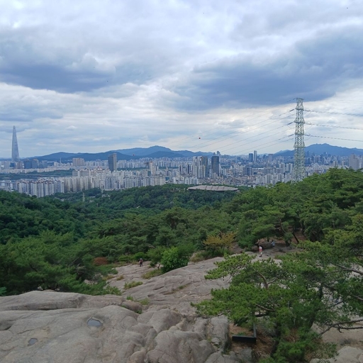 피드 이미지