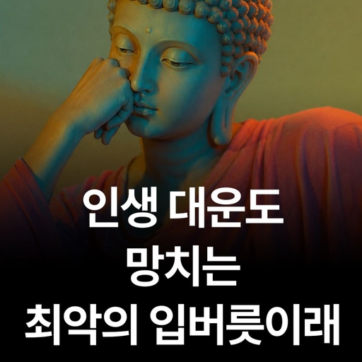 피드 이미지
