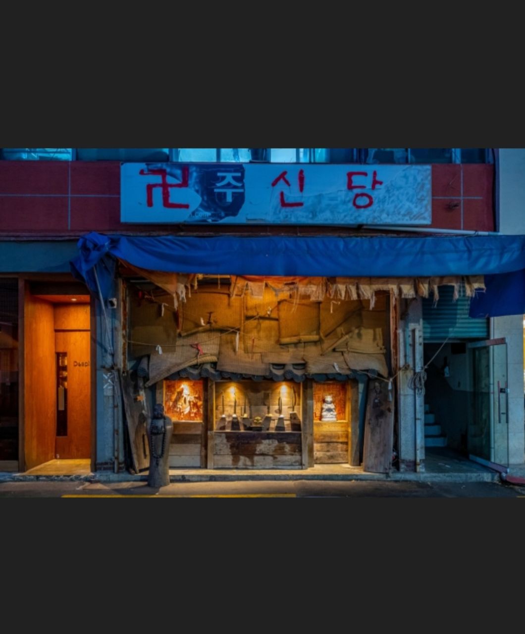 피드 이미지