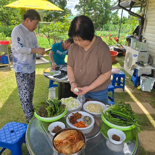 피드 이미지