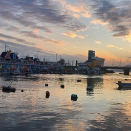 피드에 업로드 된 이미지