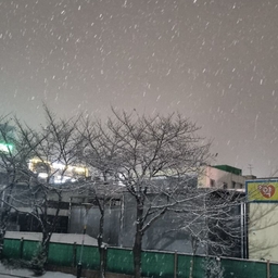 피드에 업로드 된 이미지