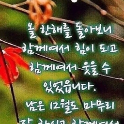 피드에 업로드 된 이미지