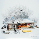 피드 작성자 프로필