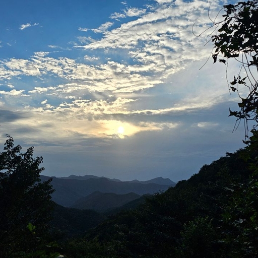 피드 이미지