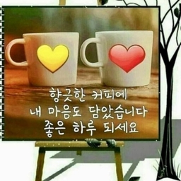 피드에 업로드 된 이미지