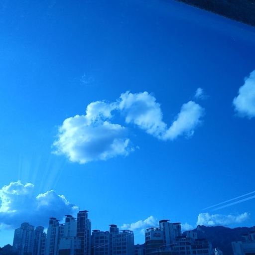 피드 이미지