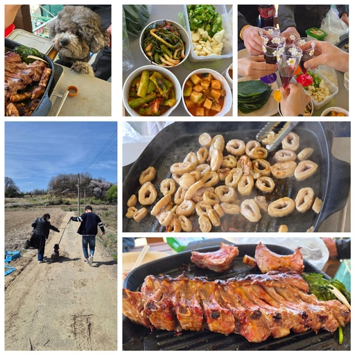 ํผ๋ ์ด๋ฏธ์ง