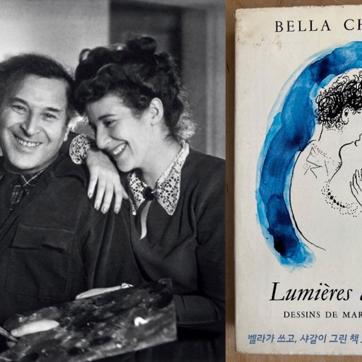 피드 이미지
