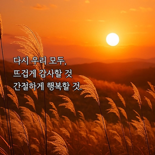 피드 이미지