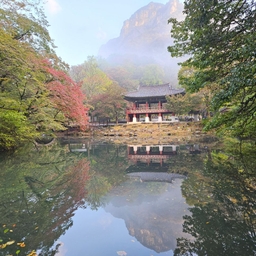 피드에 업로드 된 이미지