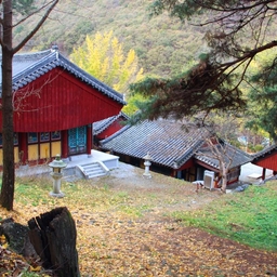 피드에 업로드 된 이미지