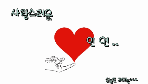 피드 이미지