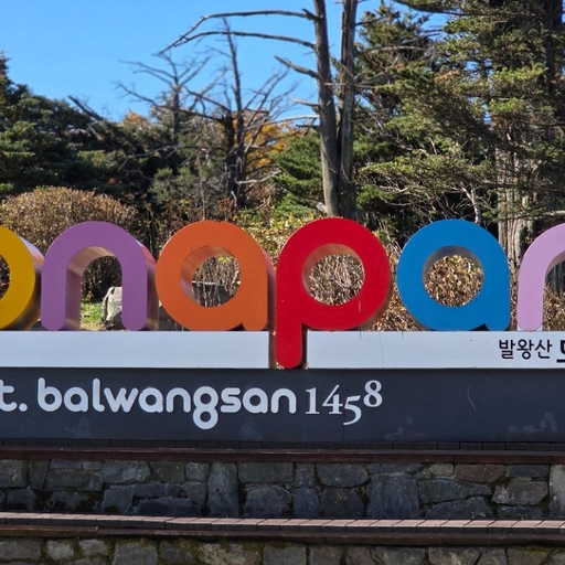 피드 이미지